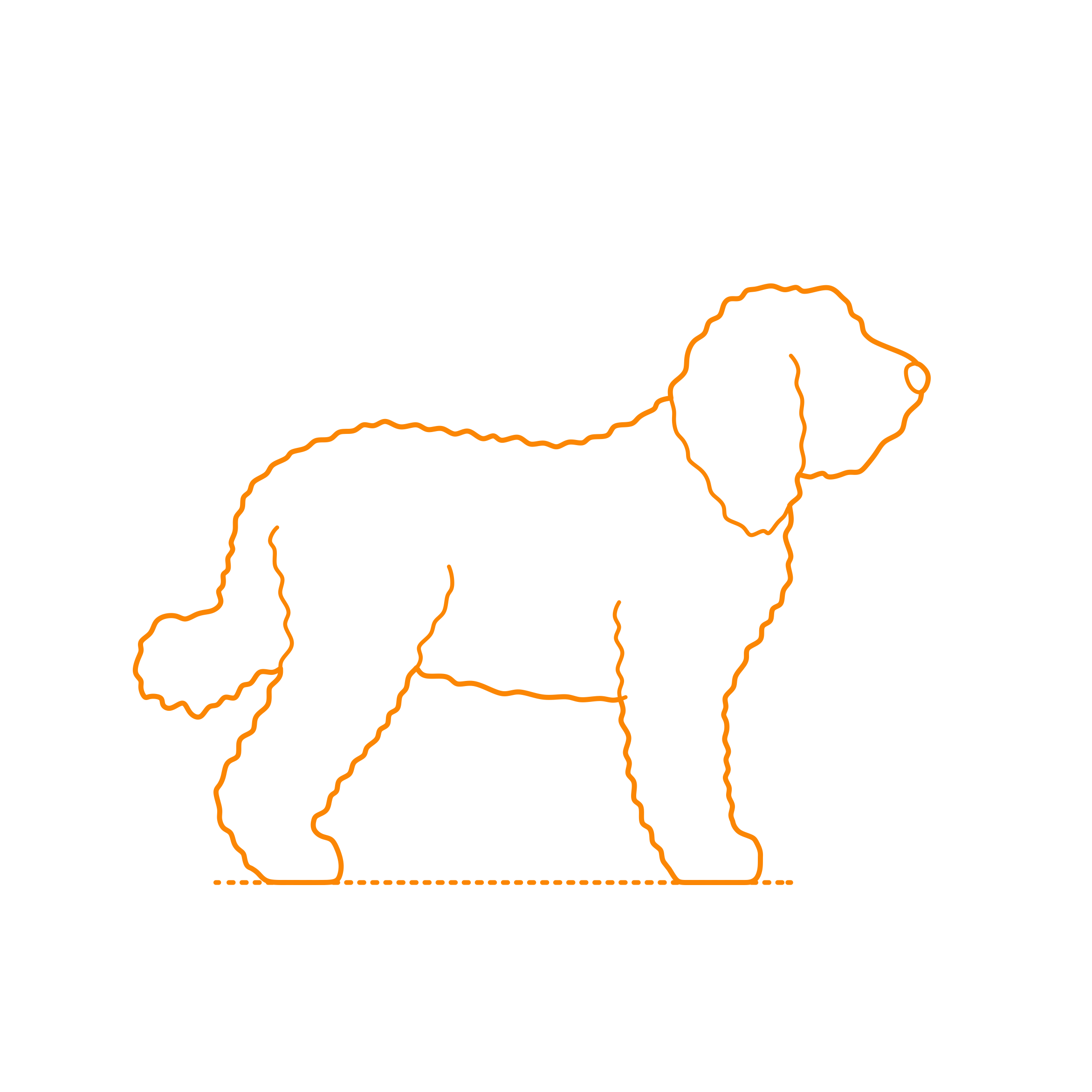 Animals Dogs Barbet Outline Svg Vector Free Vectors